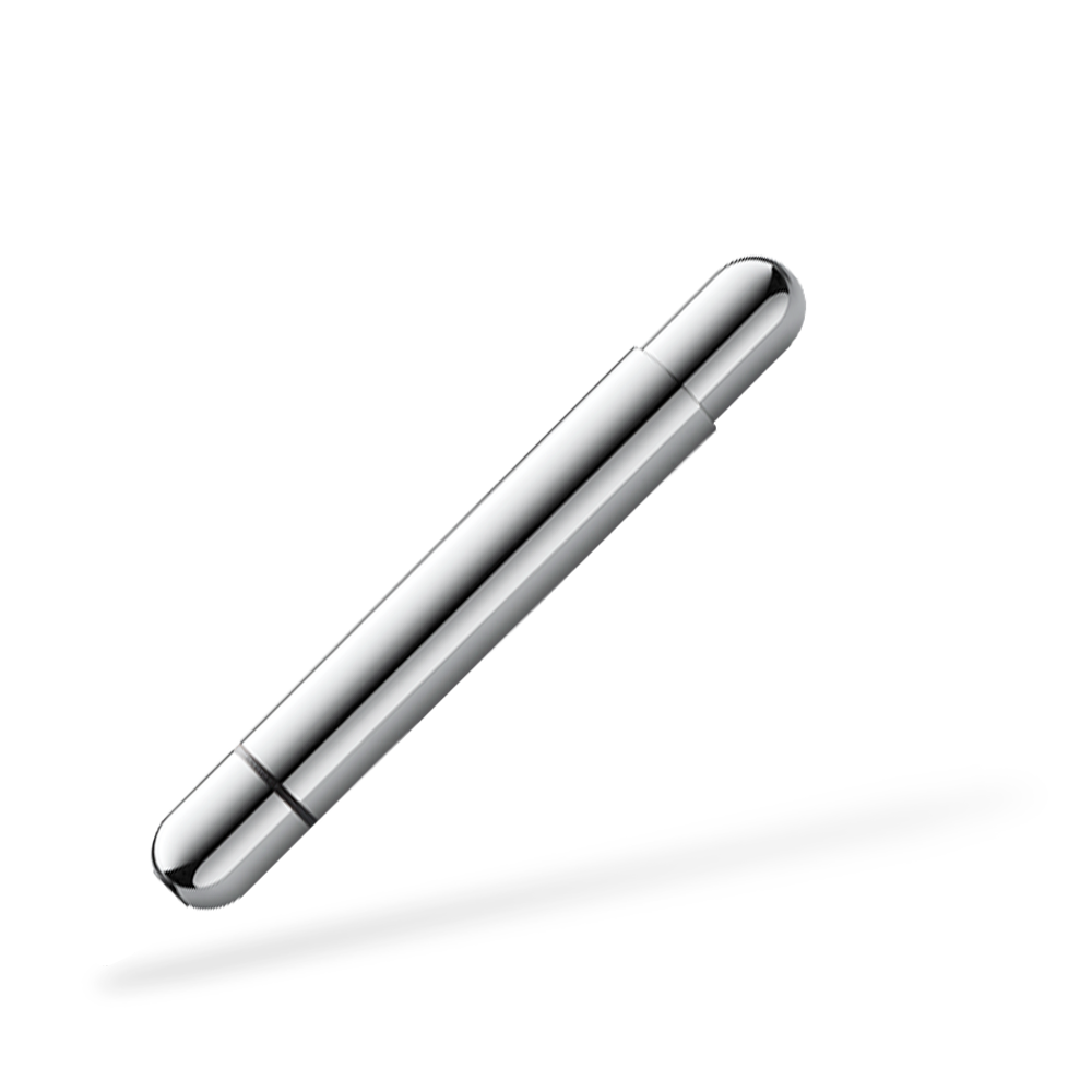 LAMY 288 pico Kugelschreiber Geschlossen Silber Rückansicht