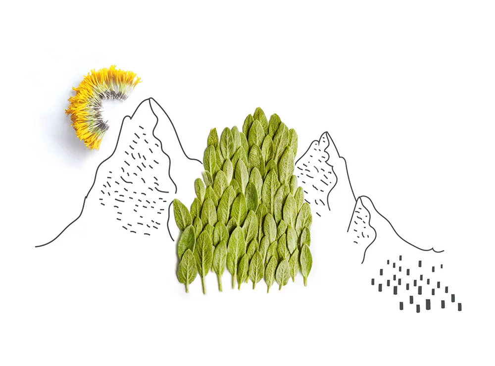 Nachhaltige LAMY Kugelschreiber